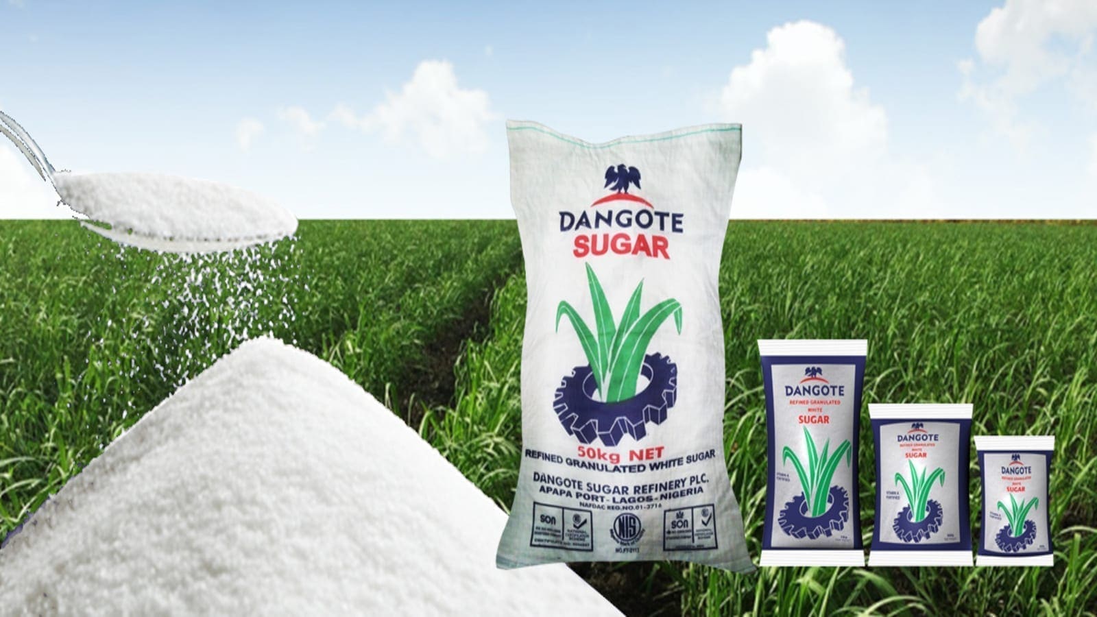 Dangote Sugar yearly revenue surge by 33%, showcasing resilient performance