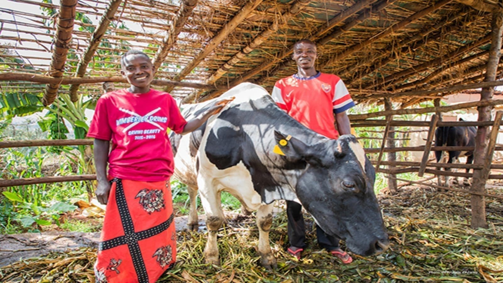 Thumbnail for Kerry, World Food Programme partner to improve milk value chain in Burundi