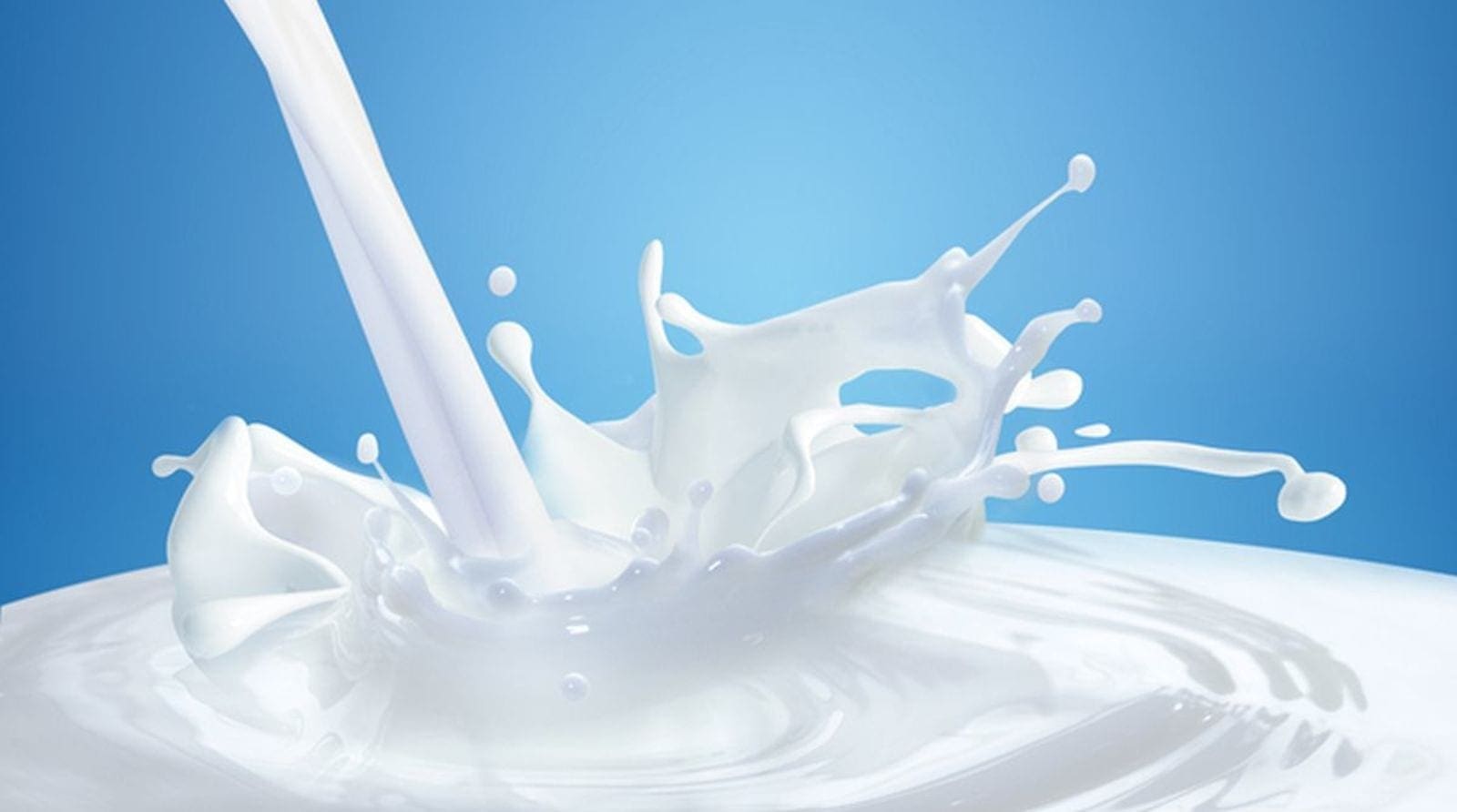 Uganda seeks new market for its milk in North Africa