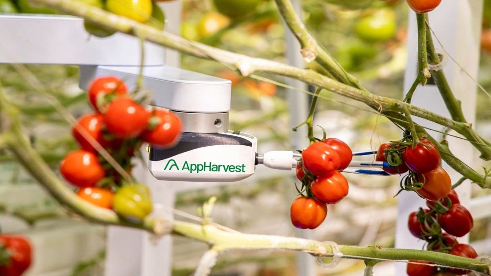 AppHarvest acquires agricultural robotics company as Singaporean firm deploys robots in grocery delivery