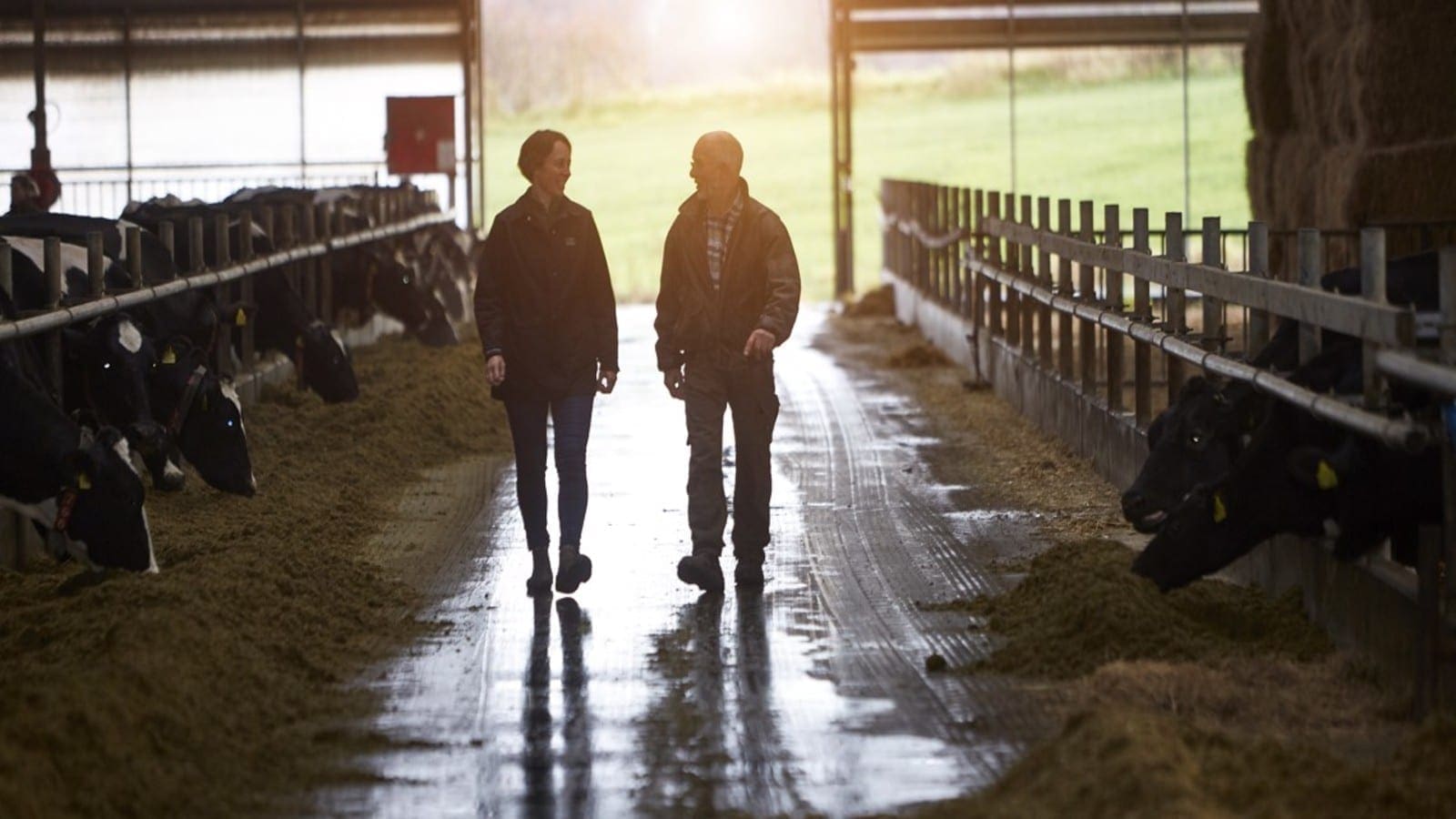 Arla leverages big data to help farmers decarbonise dairy at a faster pace 