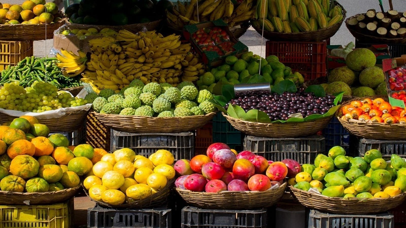 UN launches competition seeking to identify 50 most impactful small food business in the World