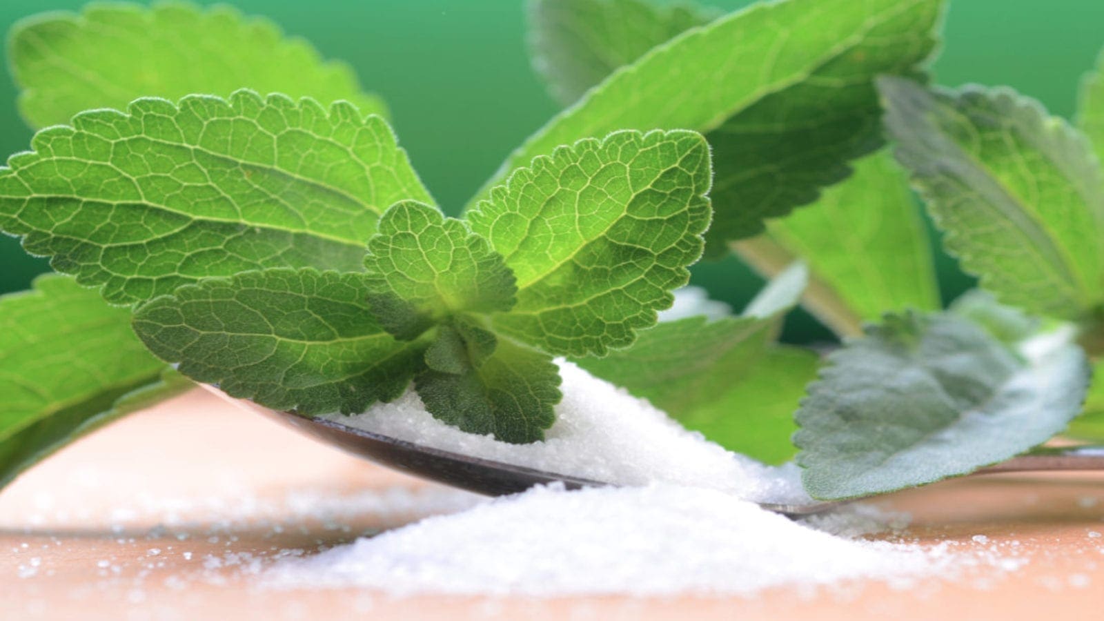 Ingredion secures exclusive licensing deal for Amyris’ fermented Reb M sweetener