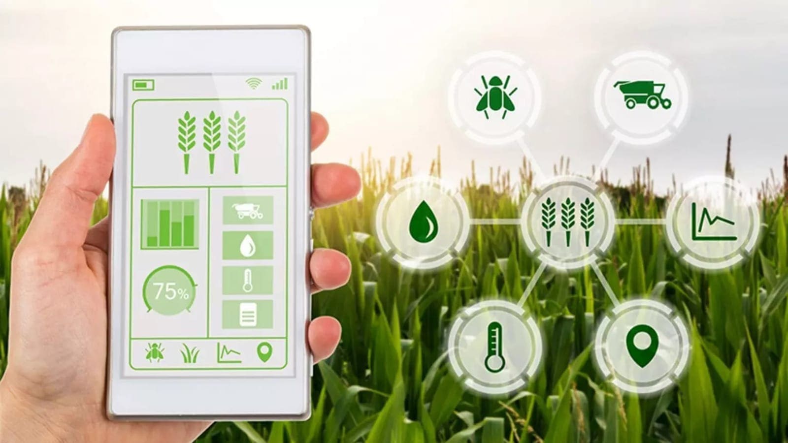 Smart irrigation company SupPlant raises US$10m to grow presence in South Africa