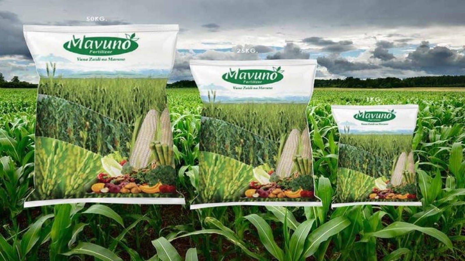 Kenya’s manufacturing giant Devki Group invests US$16m in new fertilizer plant, seeks to pump in US$46m to revive Mumias Sugar