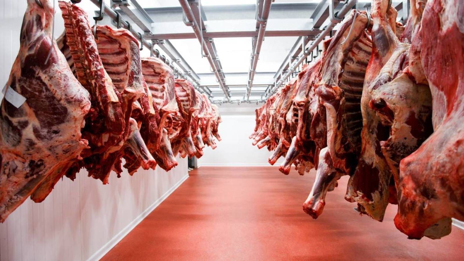 Namibian cabinet approves measures to save Meatco