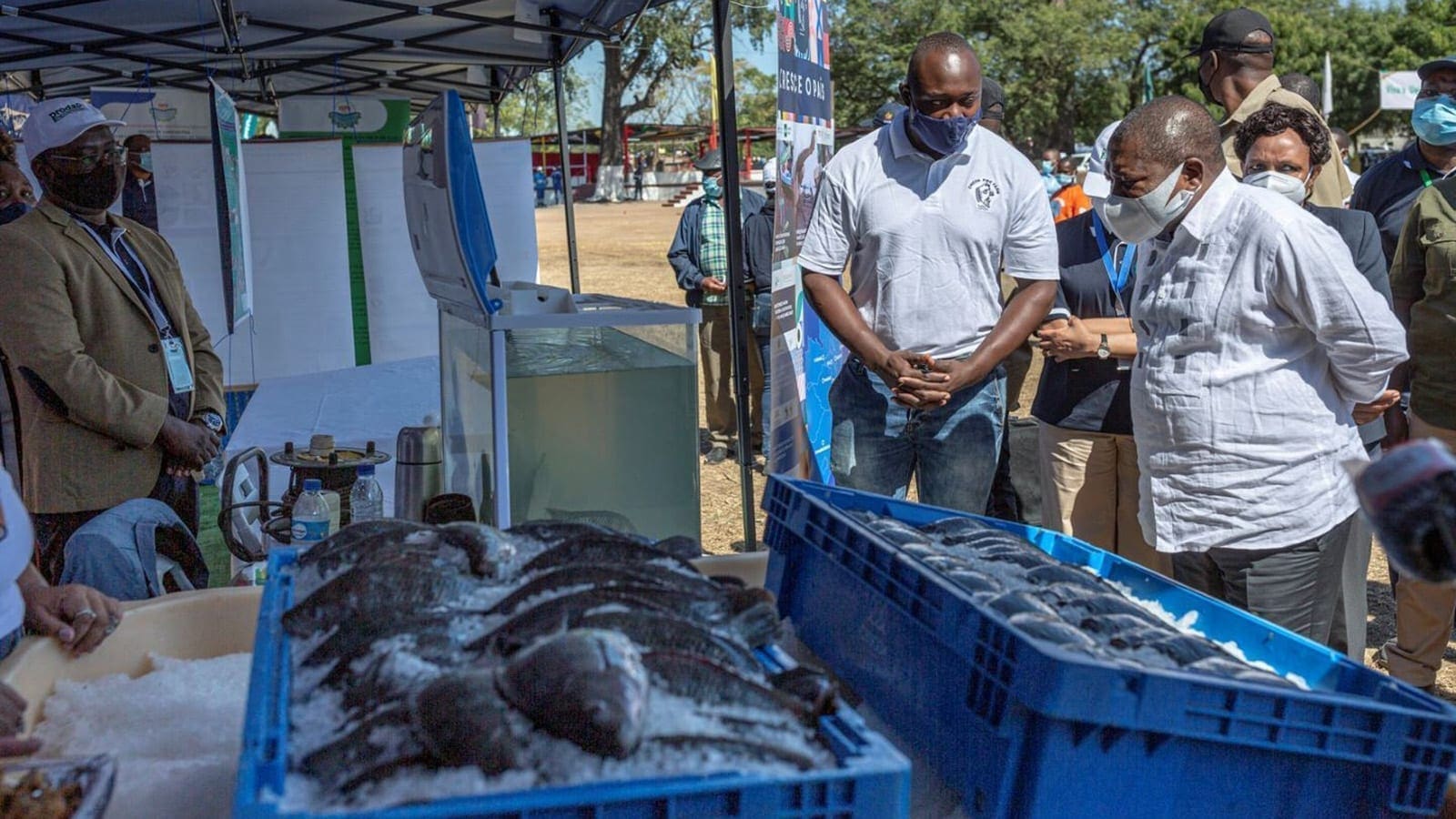 Mozambique, IFAD launch US$49m aquaculture project to boost sector