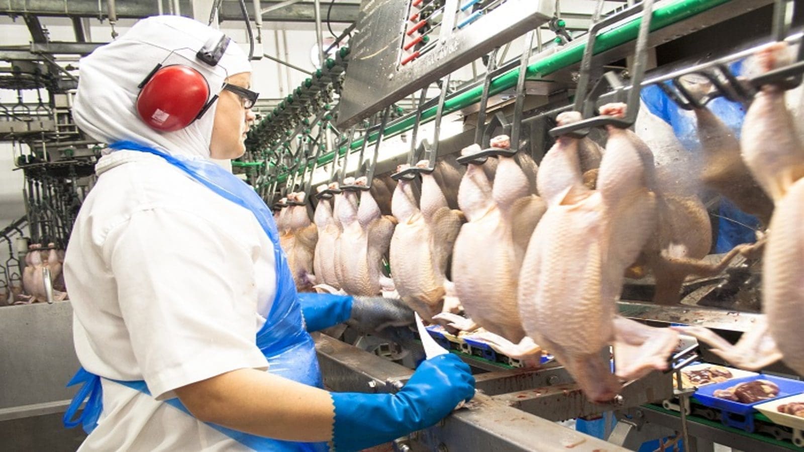 2 Sisters Food Group invests US$10.36m into upgrading facilities at UK poultry factory