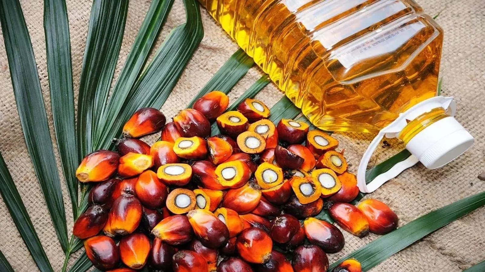Nigeria’s palm oil imports from Malaysia surge by 65.3% despite weaker naira