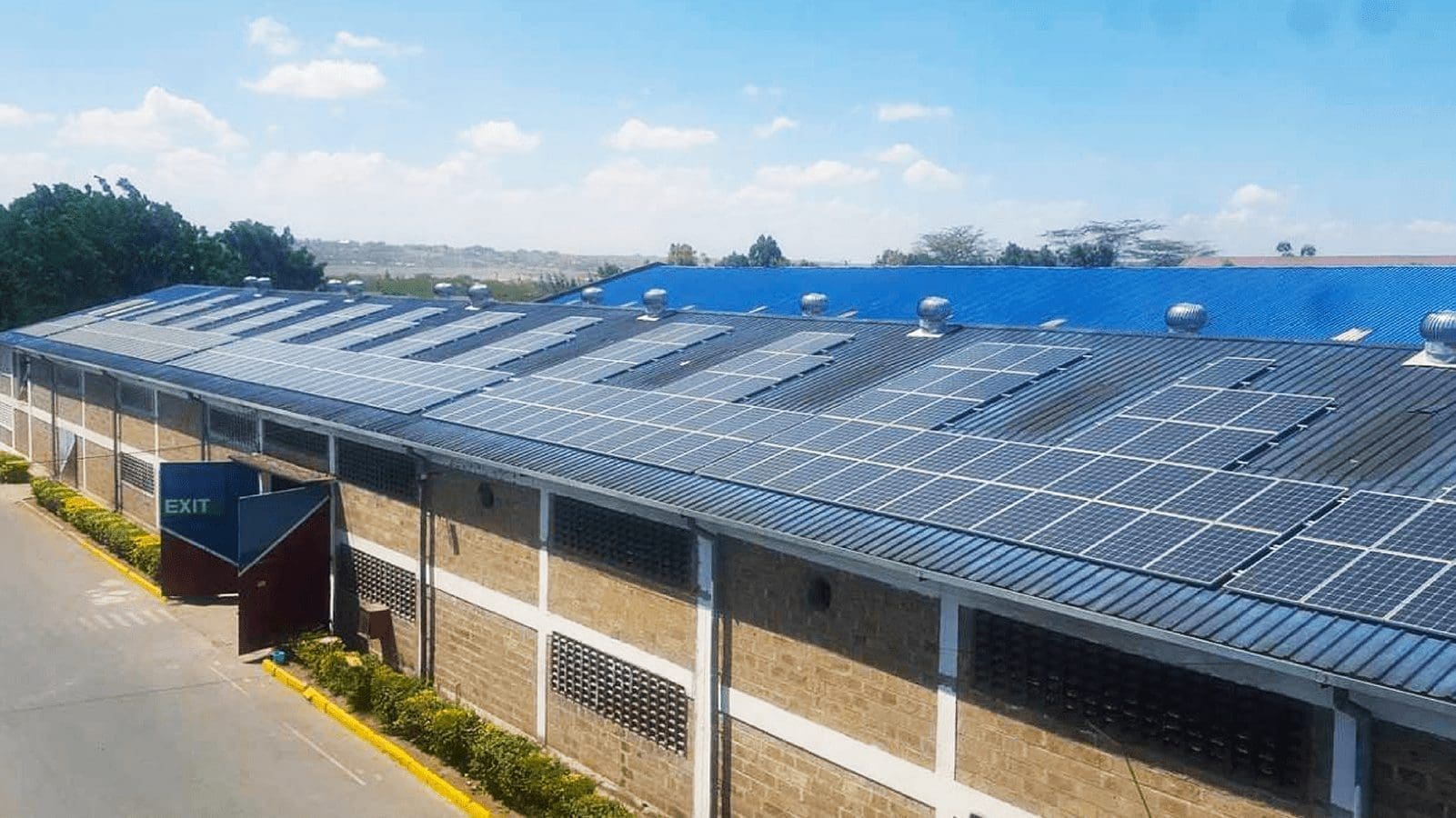 African food and agriculture companies transition to solar to cut costs