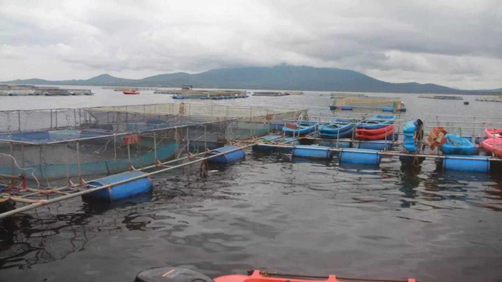 Kenyan based aquaculture entity Victory Farms clinches US$5m funding to expand into new markets