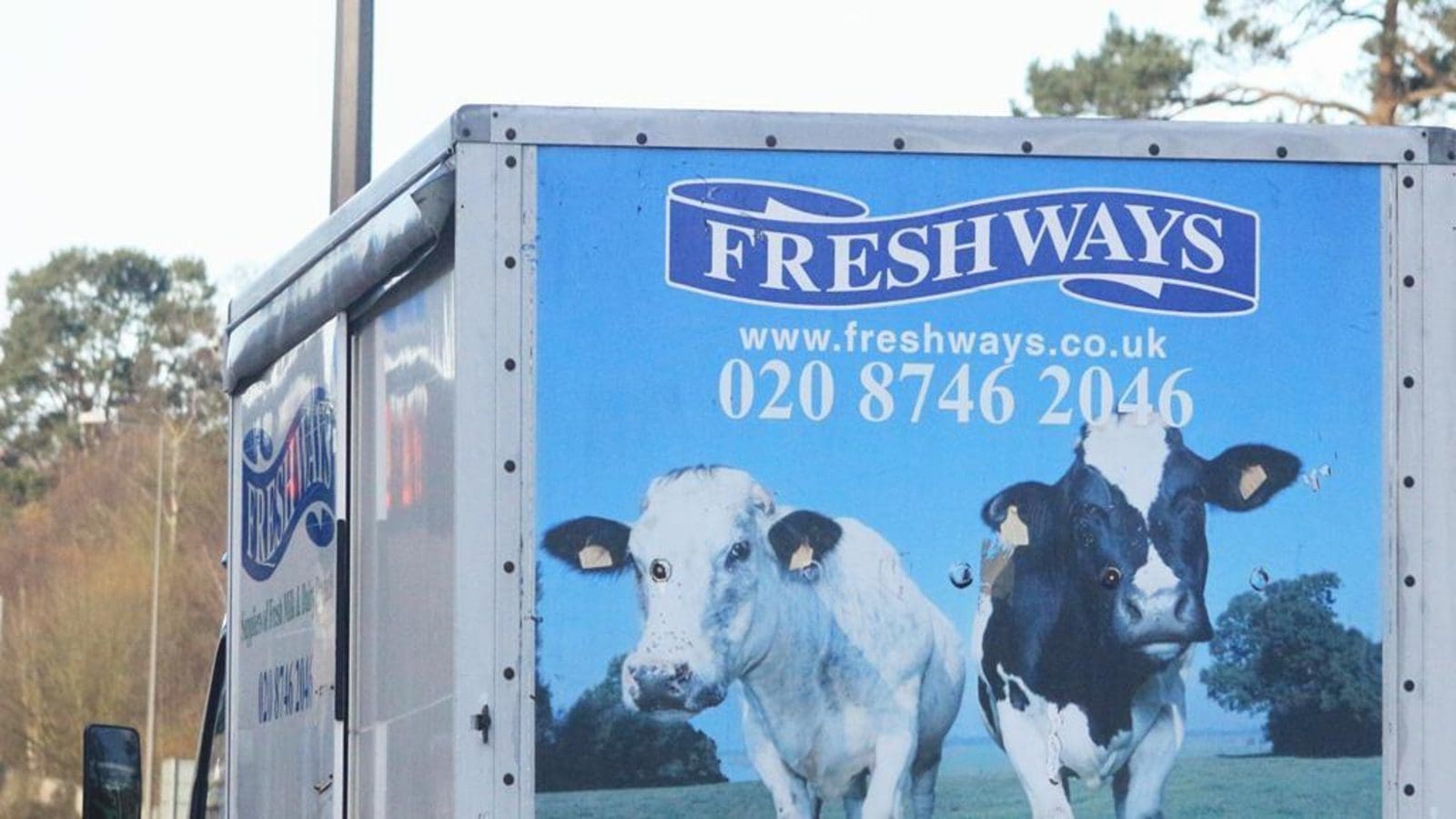 Medina and Freshways Dairies to merge businesses in pursuit of greater liquid milk market
