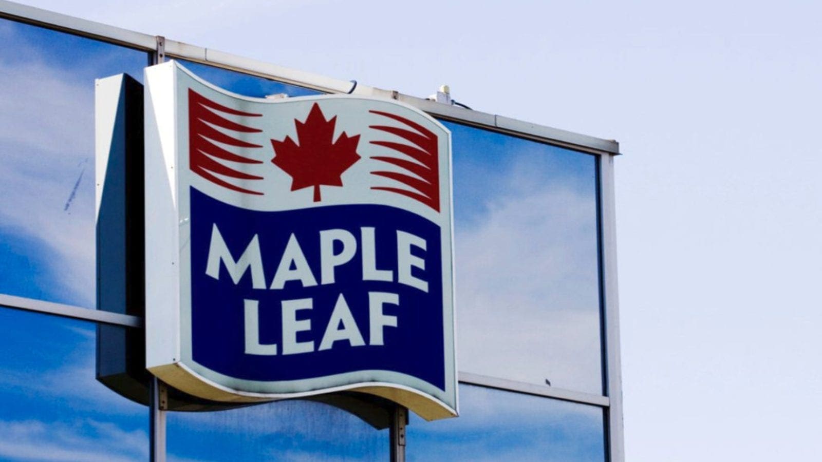 Maple Leaf Foods eyes four Canadian pig farms as Niagara Bottling plans to build US$156m facility in US