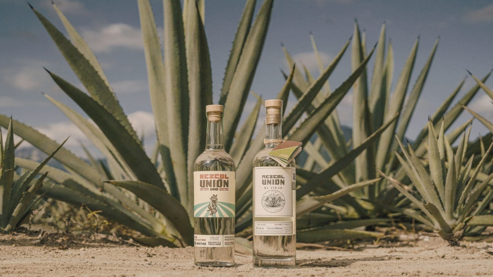 Diageo to expand presence in artisanal spirits market with acquisition of agave spirits maker Casa UM