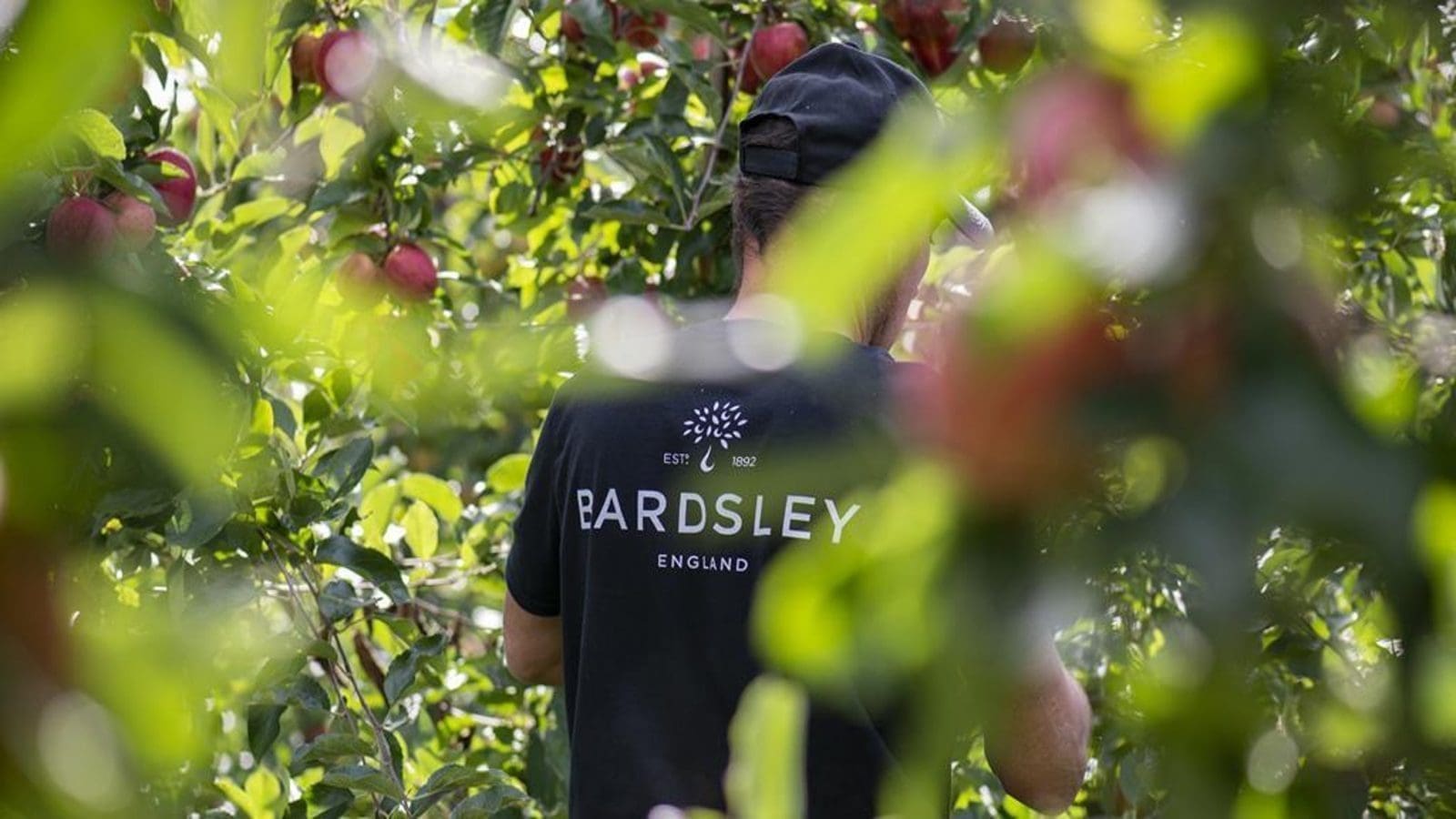 Camelia diversifies product, geographic portfolio with acquisition of UK’s second largest Apple grower Bardsley England