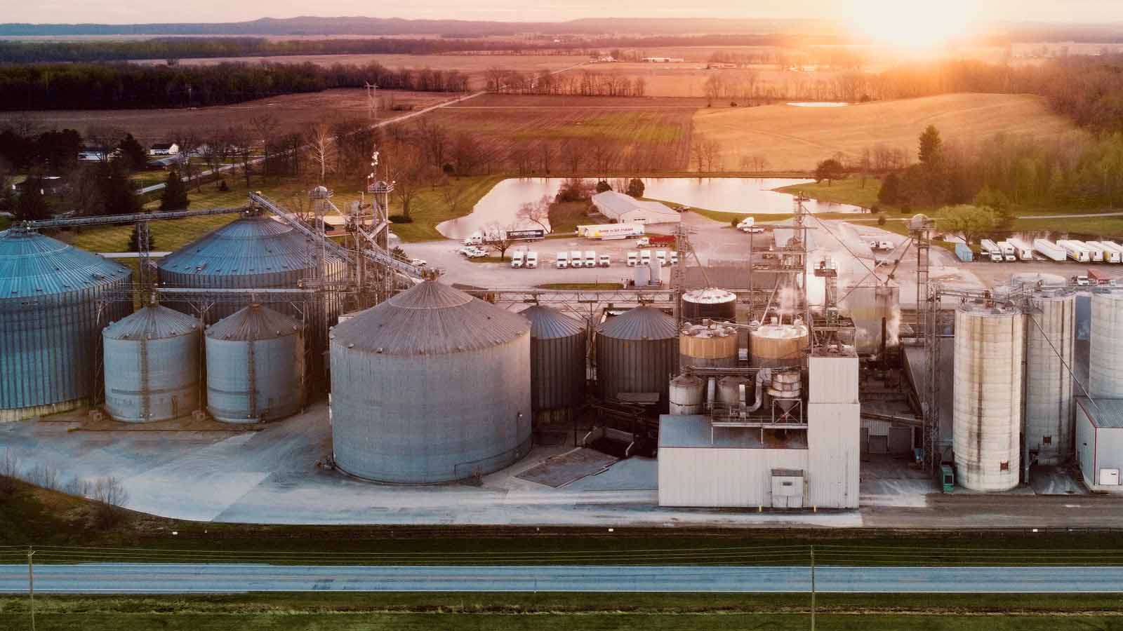 Benson Hill to acquire US soy crushing operation to scale plant-based protein ingredients