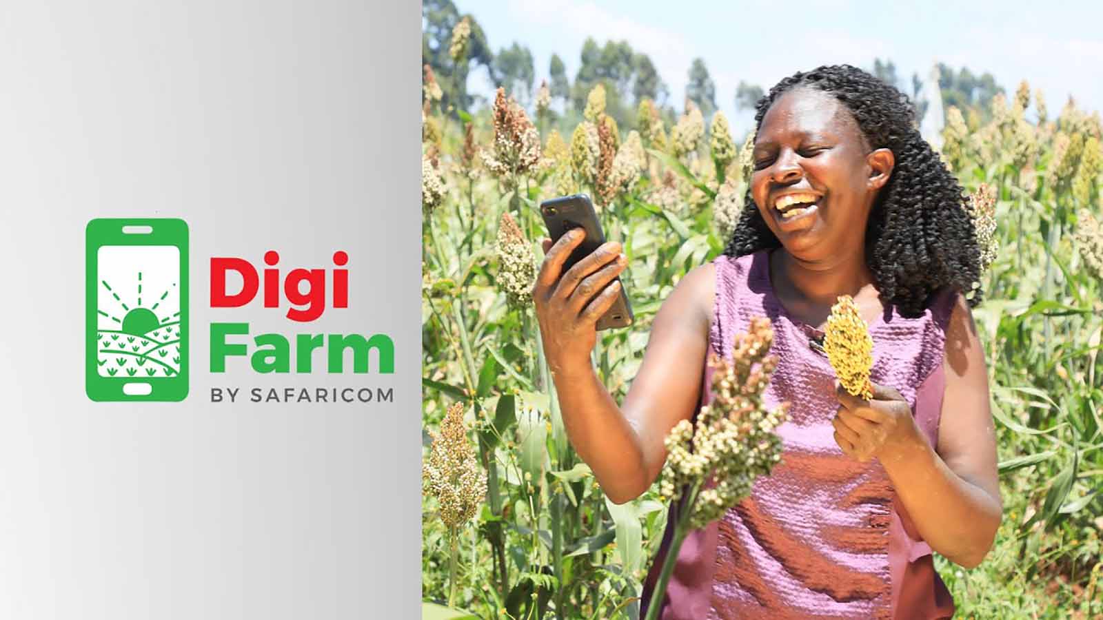NCPB partners with Safaricom’s integrated mobile platform DigiFarm to enable farmers access post-harvest services