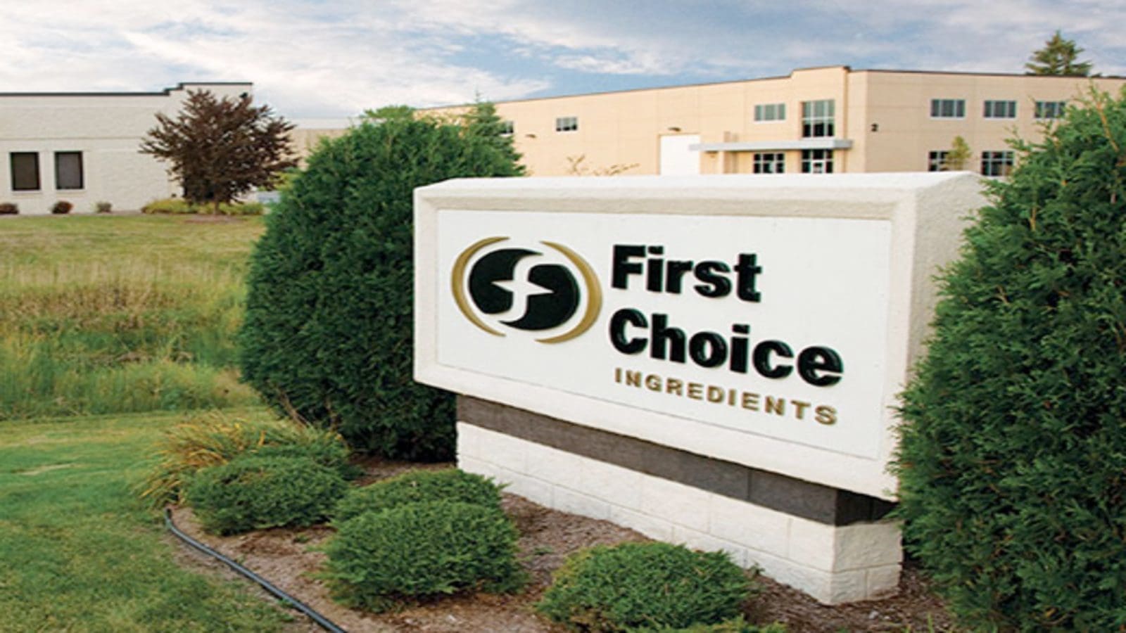 DSM to acquire dairy-based savory flavorings supplier First Choice Ingredients for US$453m