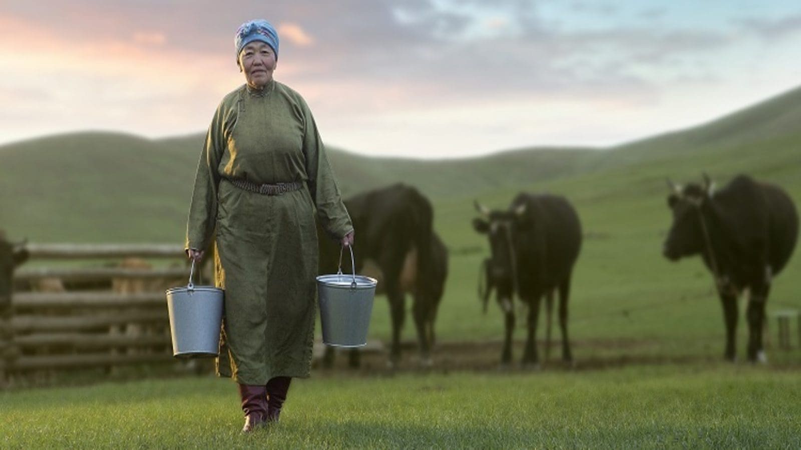 Mongolian dairy producer Suu Milk secures financing from EBRD, XacBank to support expansion programs