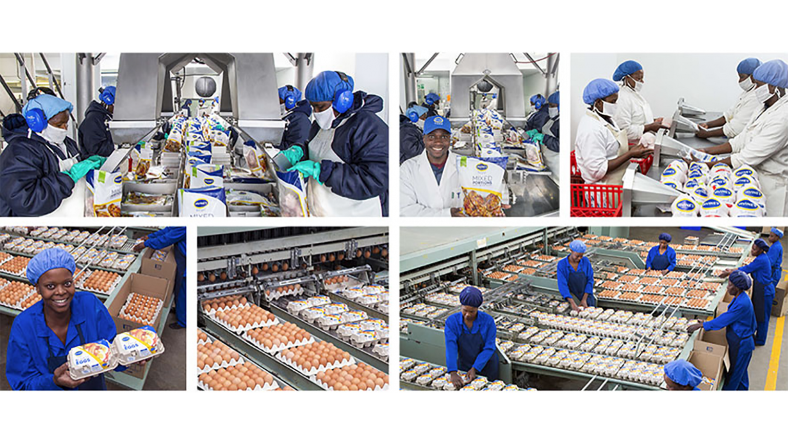 Zimbabwe’s largest poultry company Irvine opens one stop shop Food Business Africa Magazine
