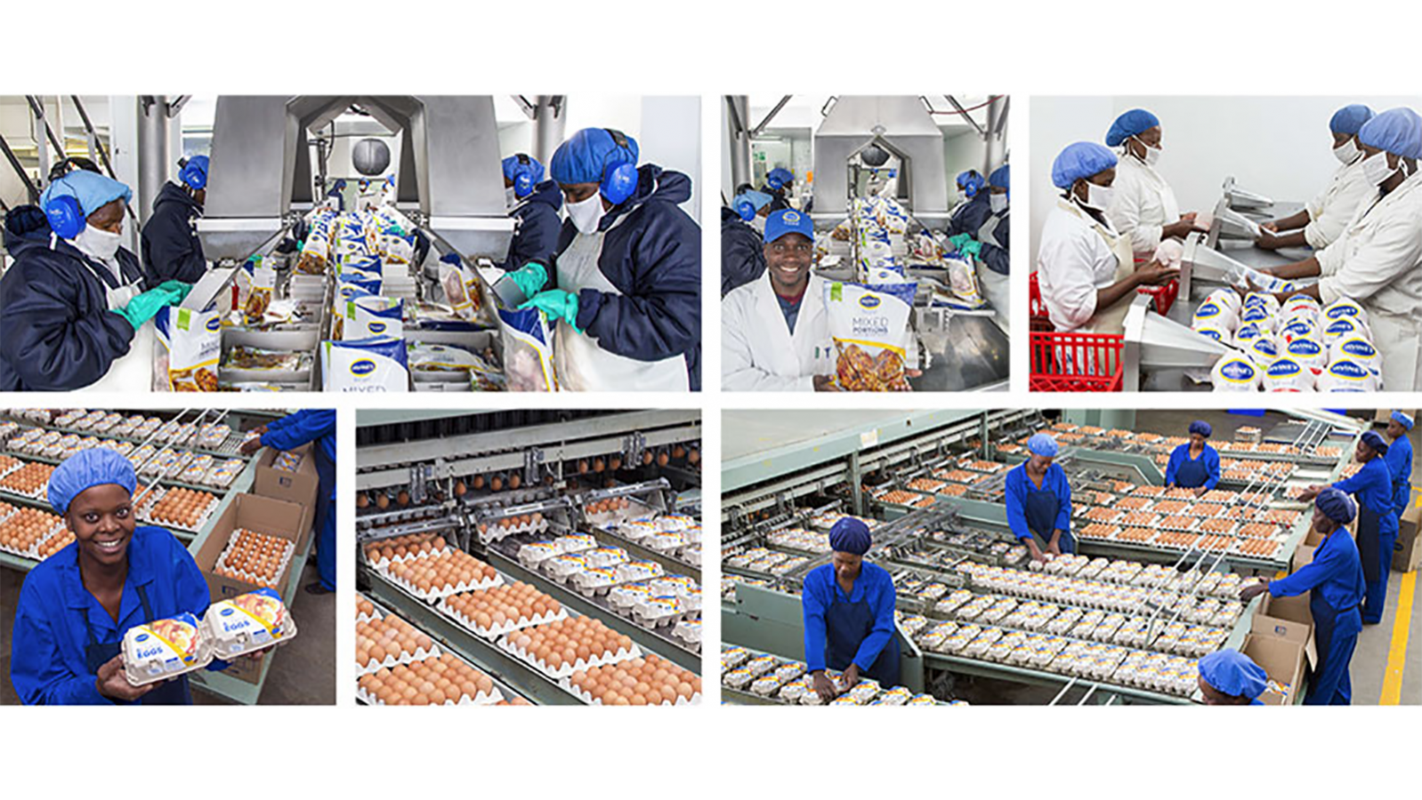 Zimbabwe’s largest poultry company Irvine opens one stop shop