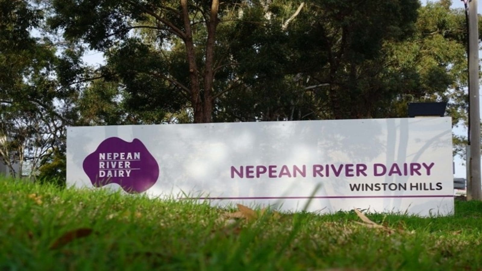 Nature One Dairy bolsters position in Australian dairy market with acquisition of Nepean River Dairy