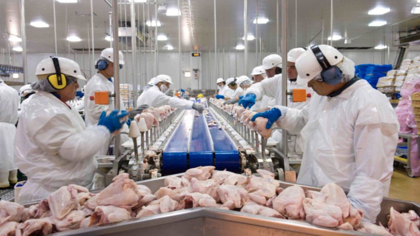 Tyson, Perdue face federal investigation over child labor allegations in slaughterhouses
