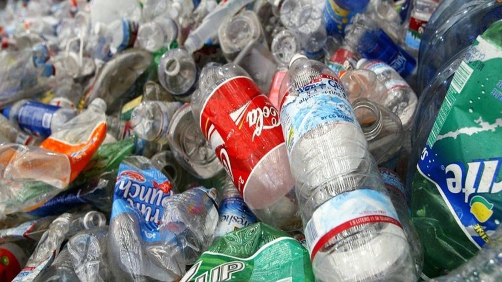 Coca-Cola scores highest on sustainable packaging in 2021 Corporate Plastic Pollution Scorecard