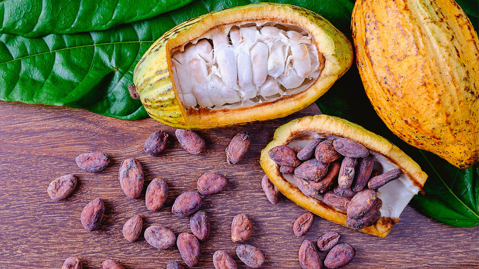Nigerian cocoa growers’ shipments halt over levy dispute