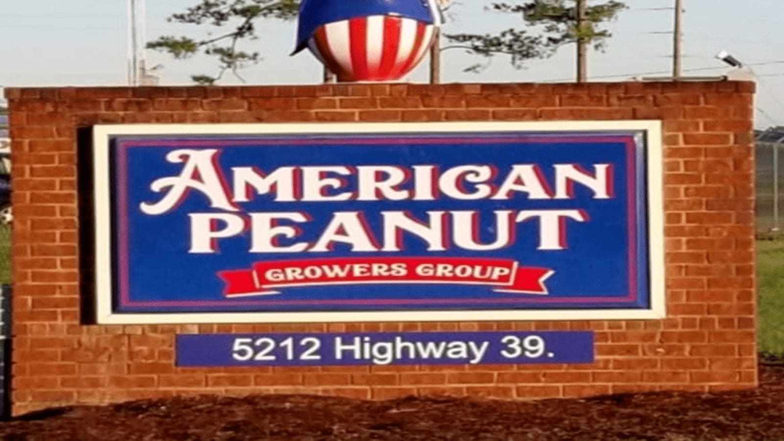 American Peanut Growers Group to invest US$85m in new peanut shelling plant