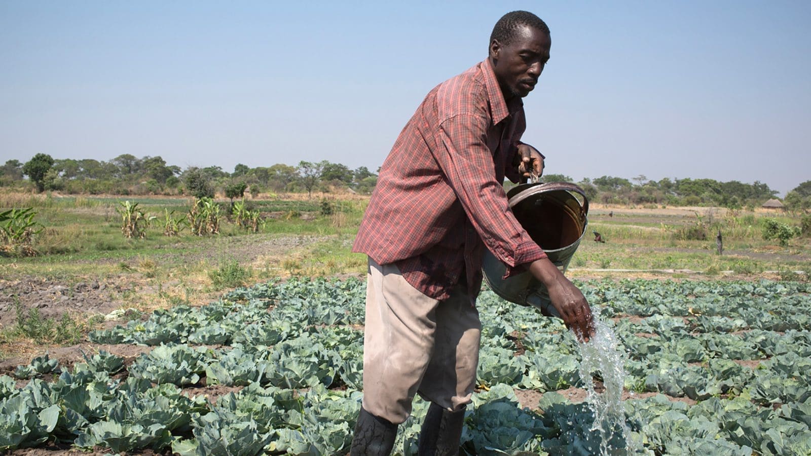 IFAD to invest US$67m in Zimbabwe to sustainably transform small-scale farming sector