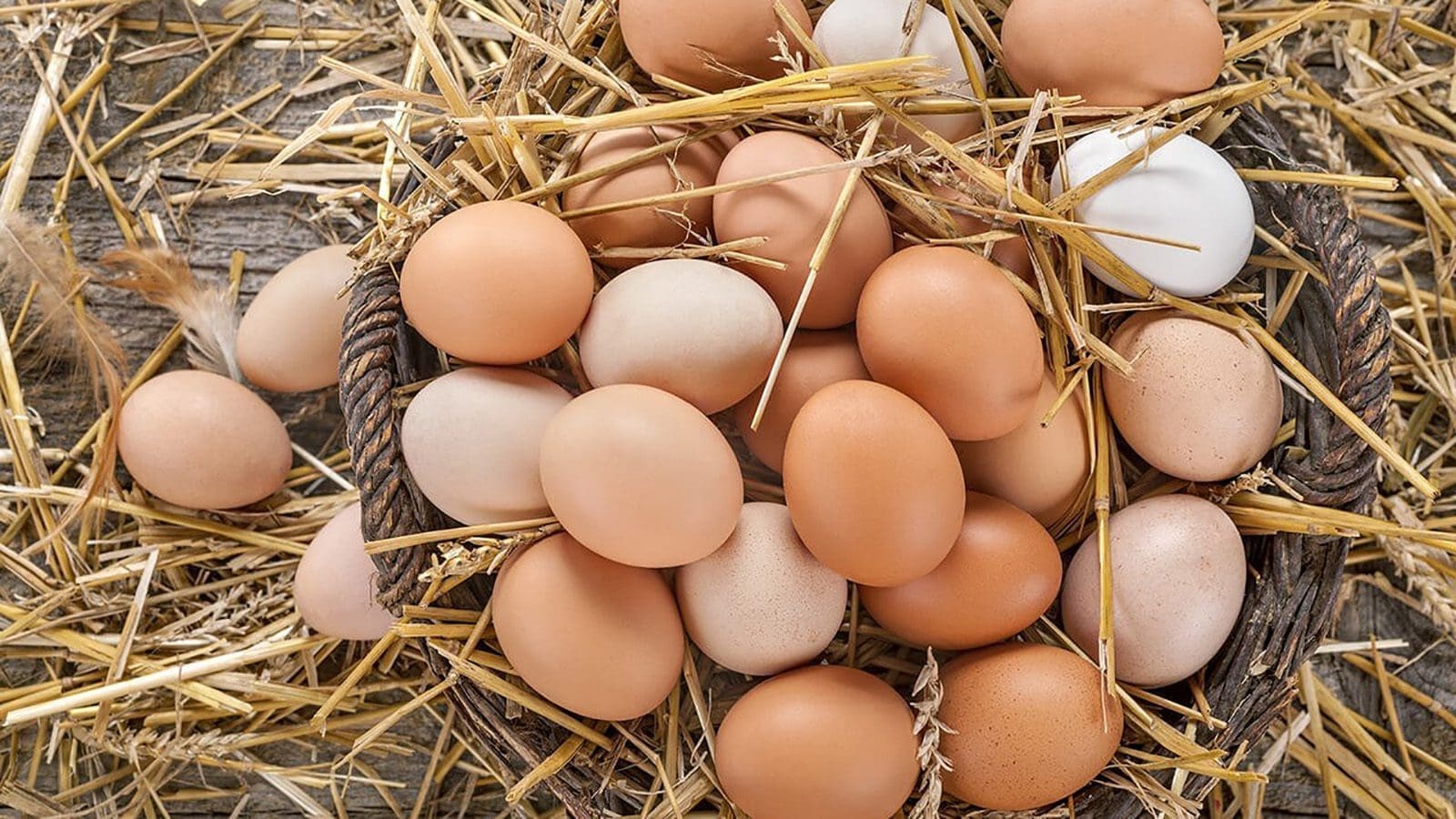 Amazon Fresh transitions to 100% cage-free eggs in bid to boost animal welfare