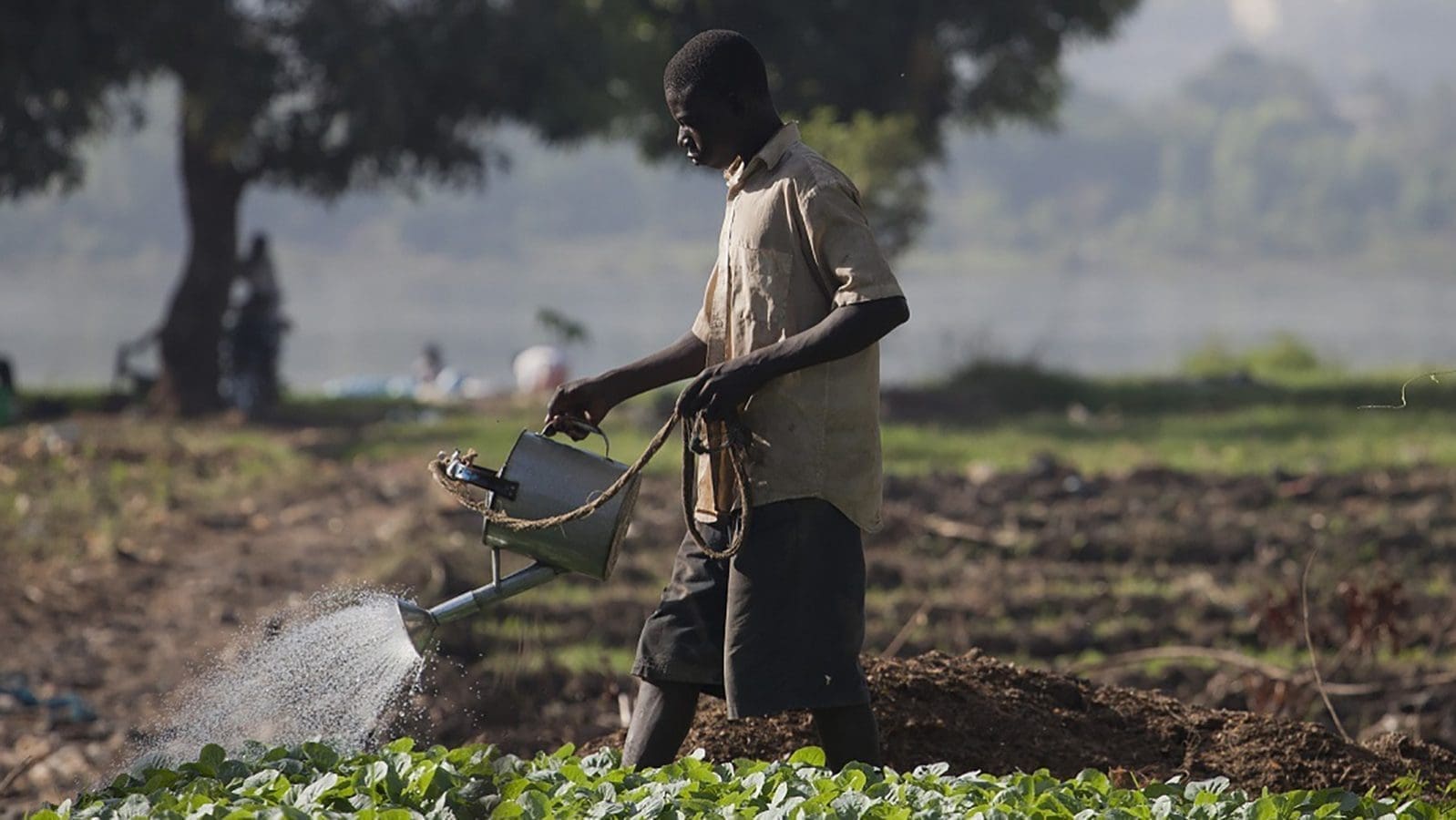 World Bank provides US$200 million to strengthen irrigation services in Cameroon
