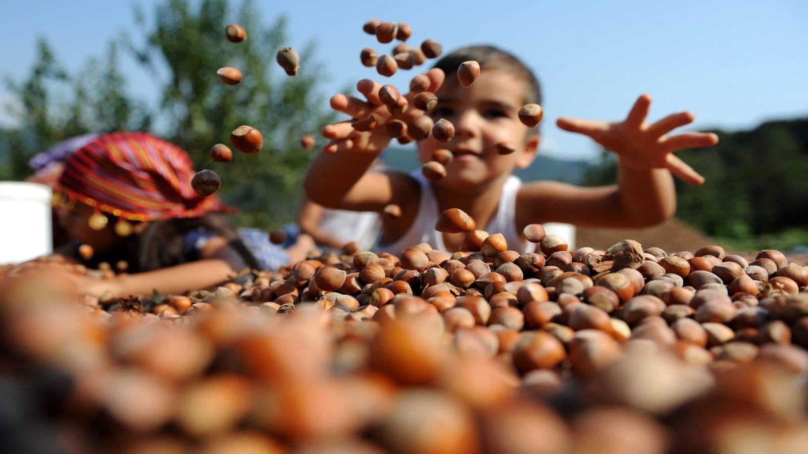 Olam Food Ingredients launches campaign to enhance sustainability in hazelnut supply chain