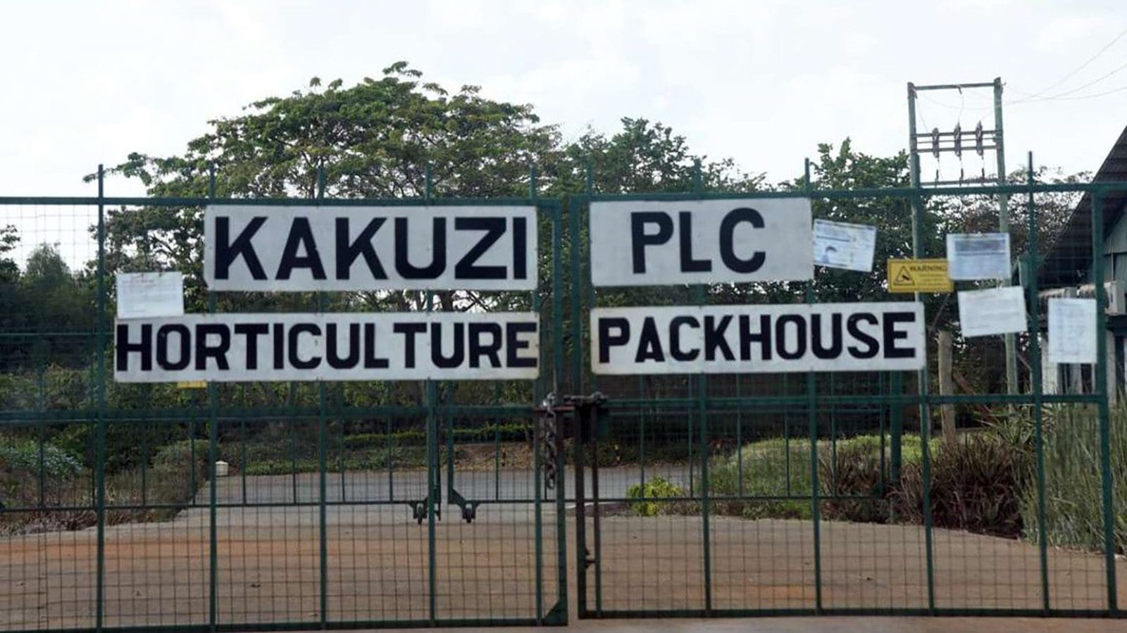 Kenyan investor increases stake in fresh food exporting firm Kakuzi cementing his top ownership position