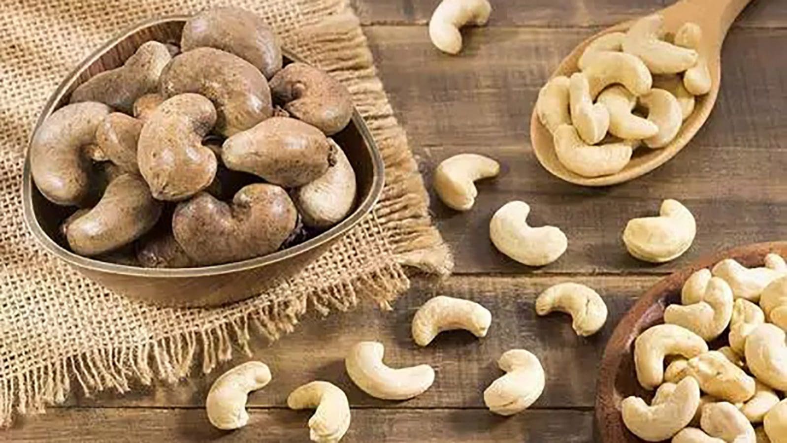 HRD Industries invests US$12 million in cashew nut shell processing plant in Benin