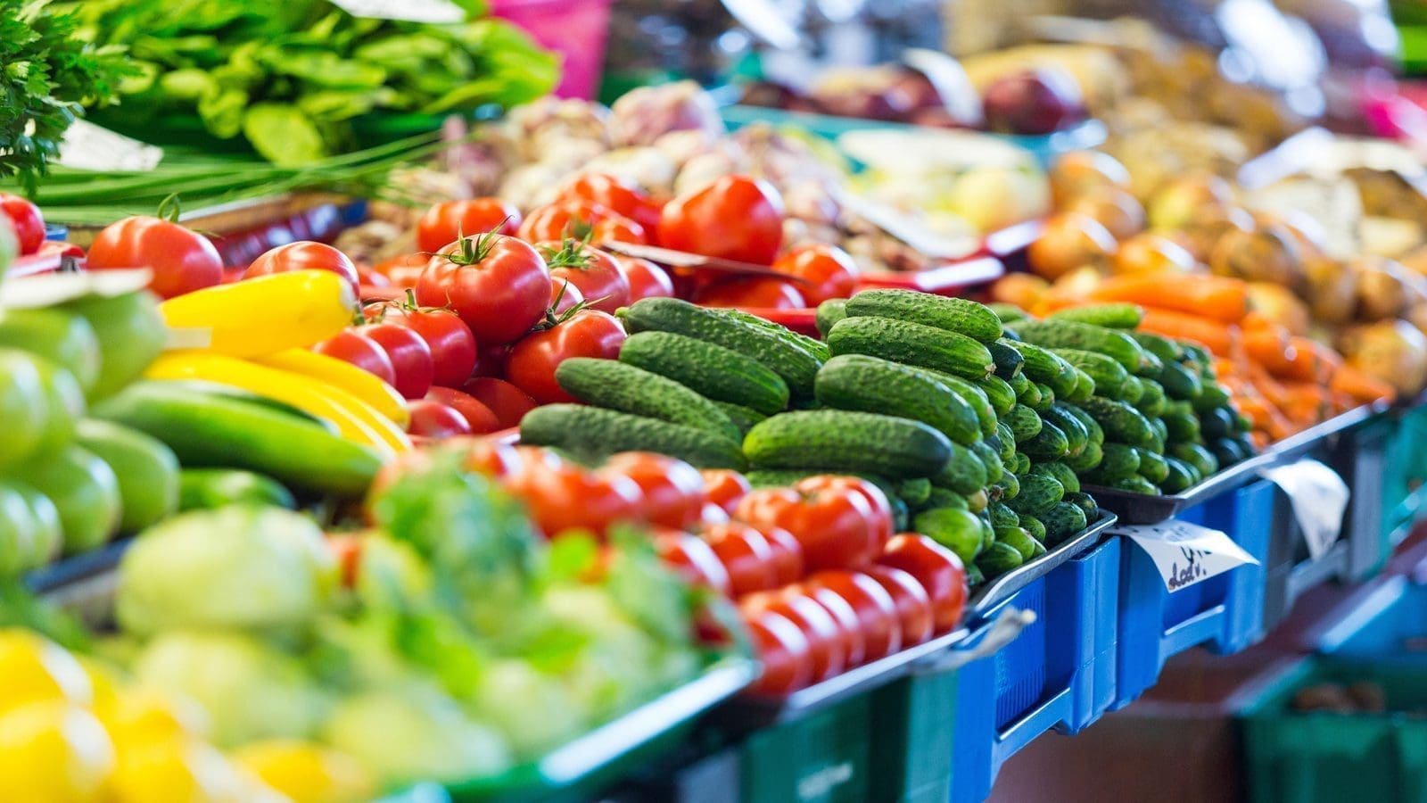 Competition Commission of South Africa polishes lens, looks into fresh produce market