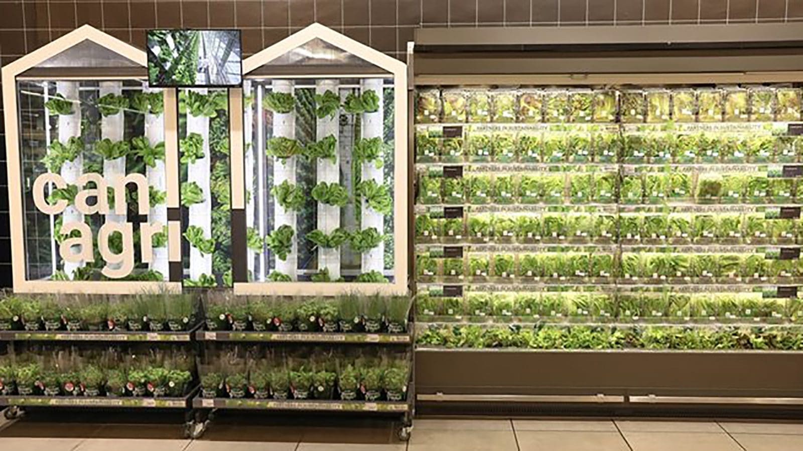 Pick n Pay piques interest of environmentally-minded customers with instore vertical farms