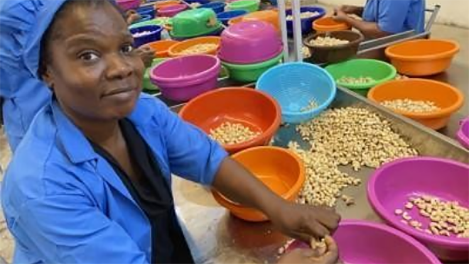 Ivorian Valency International Trading receives US$10m to boost cashew nut processing