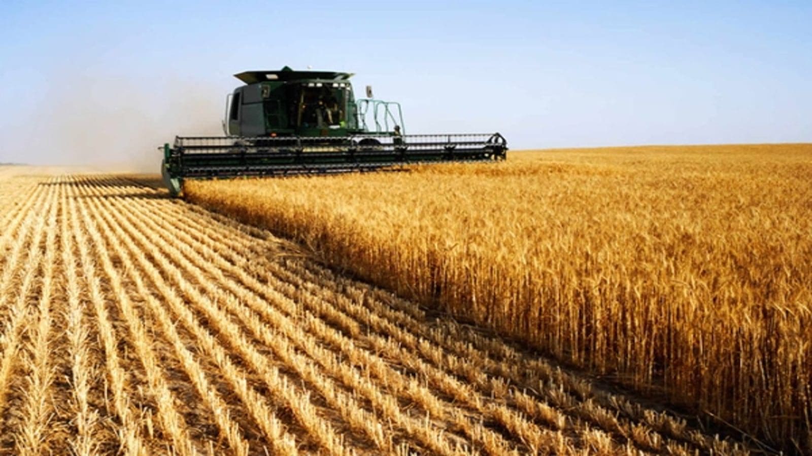 European grain production forecast projected downwards due to reduced planting area