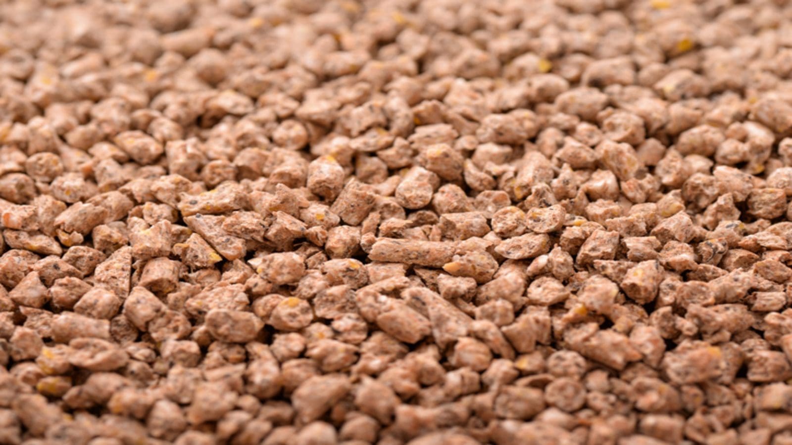 Continued global grain market rally likely to reduce EU 2022 compound animal feed production