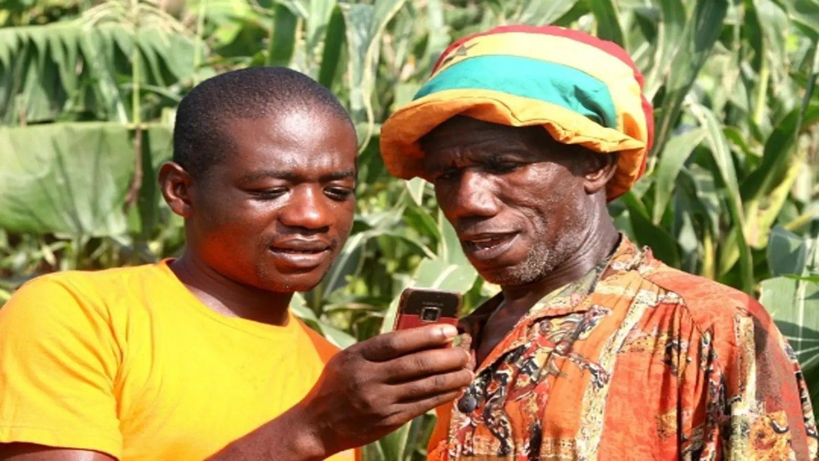 Africa’s agri-tech company, TINGO merges with financial services provider MICT
