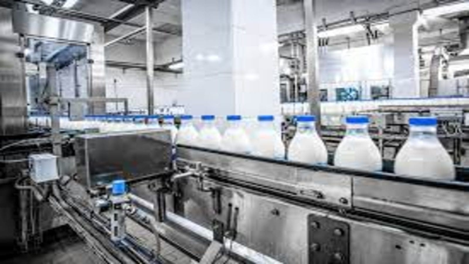 Emirates Food Industries launches Hayatna dairy brand in UAE