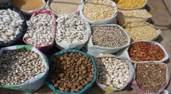 Angola makes historic food exports to United States under AGOA