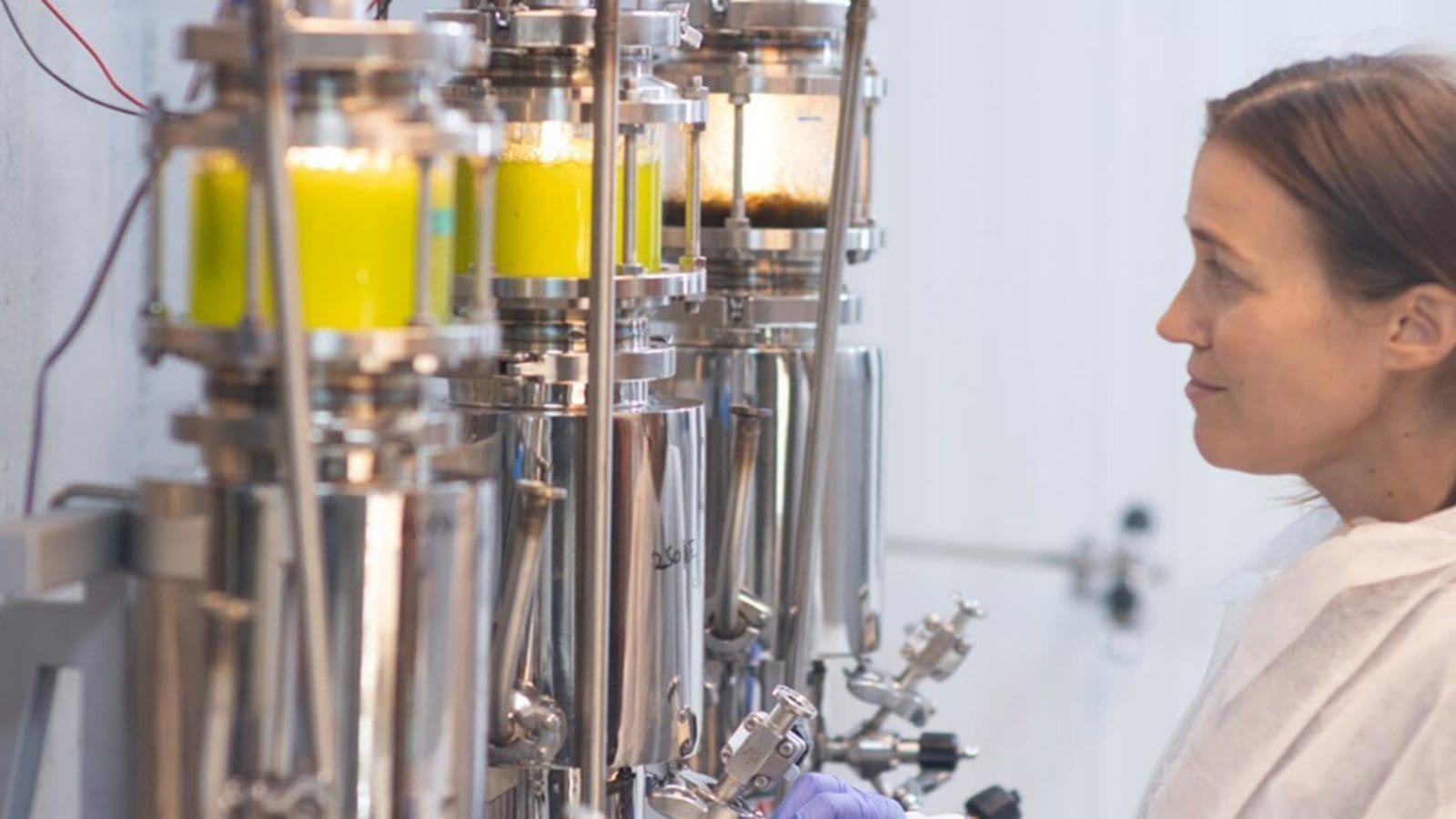 Brevel raises US$8.4m to scale production of microalgae-based proteins