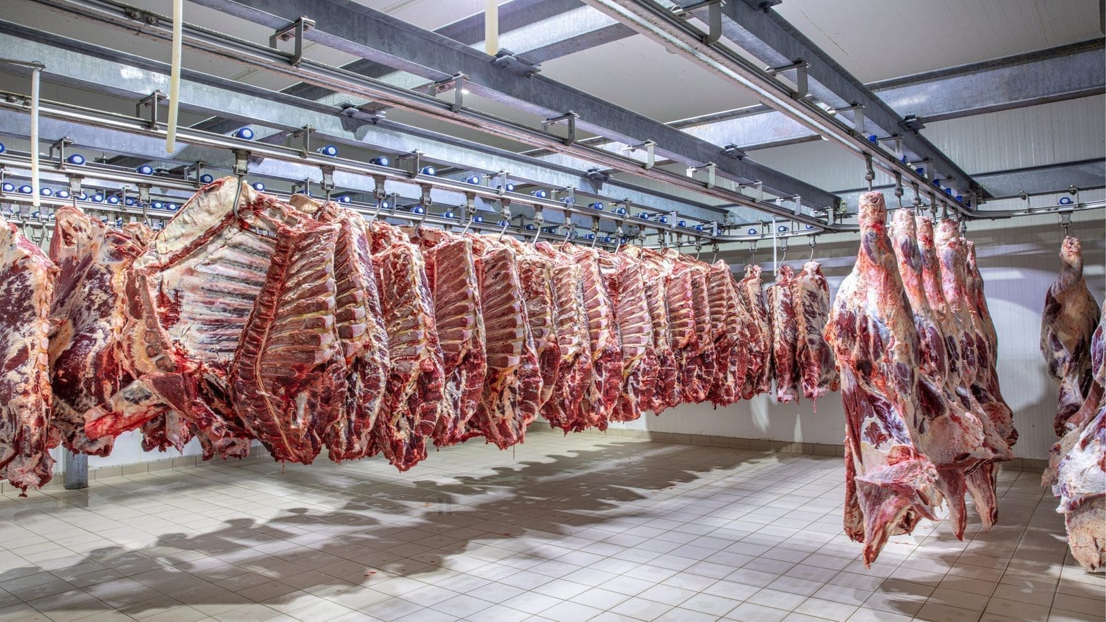 Beef Value Chain Forum raises additional funding for establishment of US$20m beef processing unit in Namibia