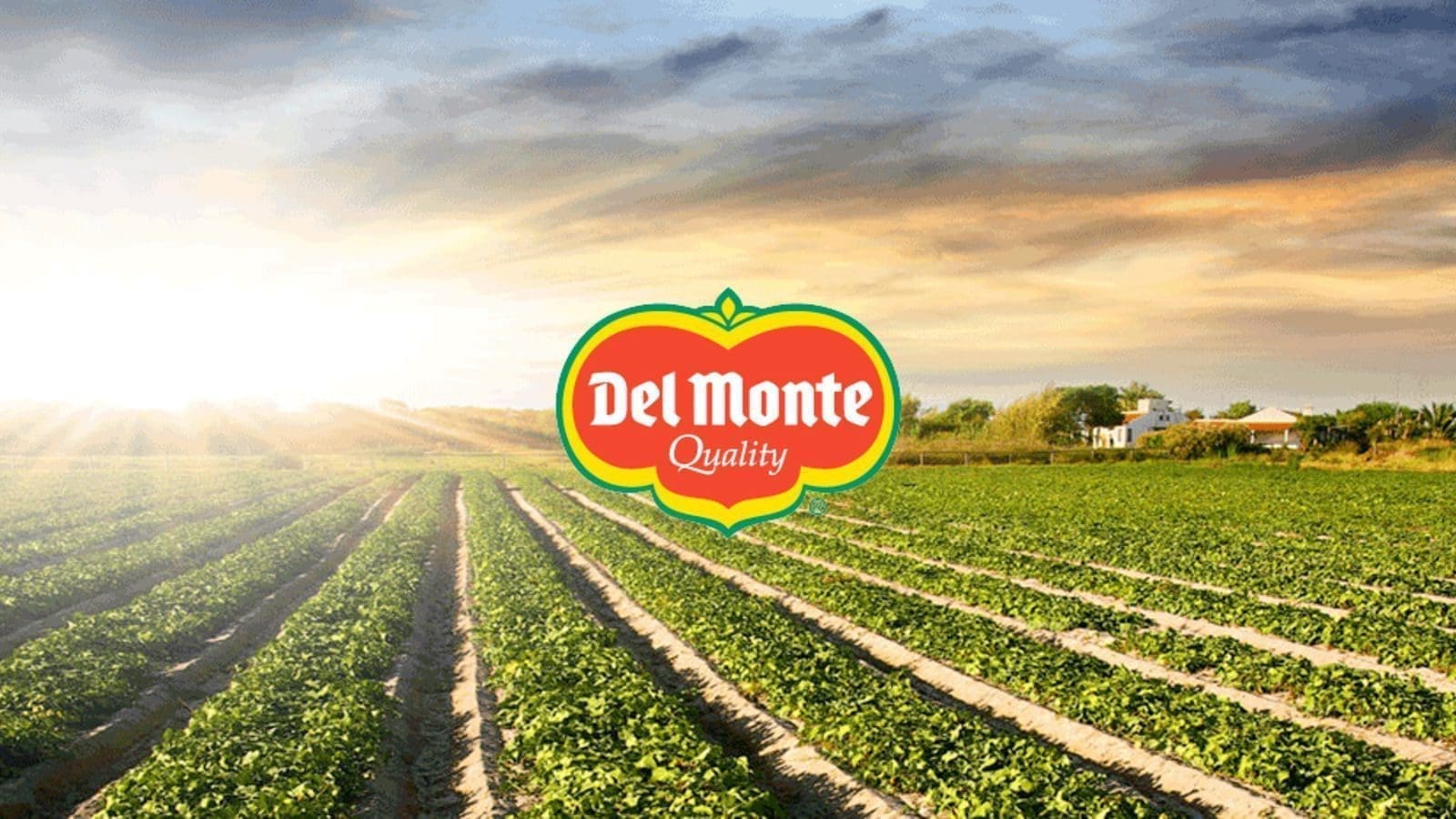Fresh Del Monte expands into row crops as it finds innovative ways to optimize its assets