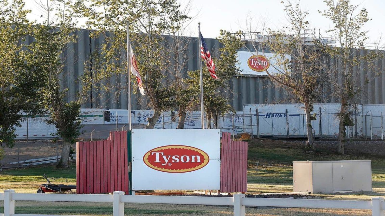 Tyson Foods Announces Sale Of Georgia Poultry Complex. Tyson Foods opens US$75 M poultry feed mill in Arkansas | Food Business