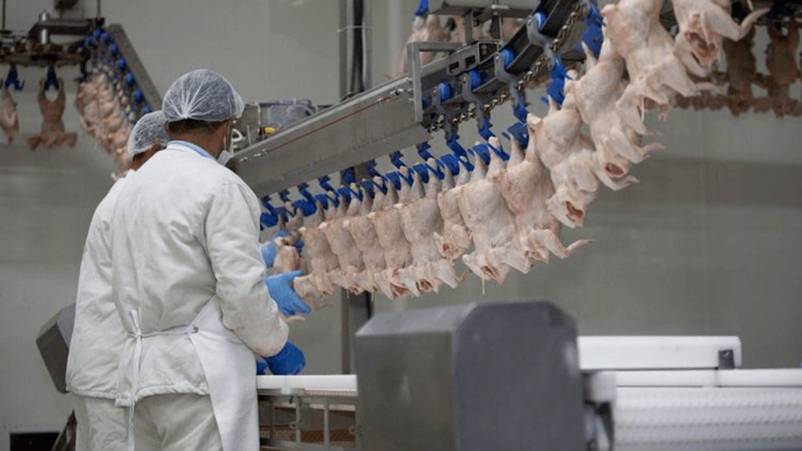 Tyson Foods channels US$90M into expanding Mississippi plant to increase capacity