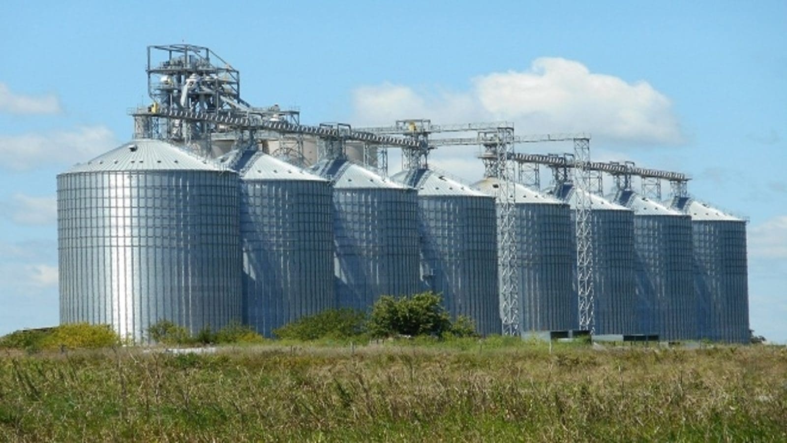 Tanzania Grain Board to spend US$8.7 M on construction of processing and milling plants
